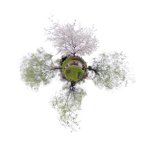 springTime | by simon sherwin