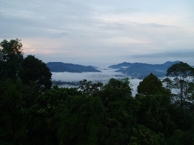Danum rainforest sunrise in Sabah - Borneo