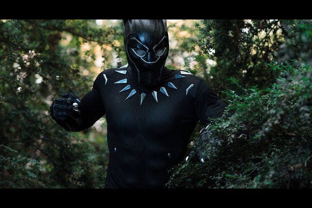 Black Panther - Set