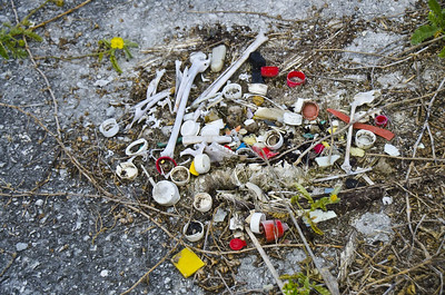 Trash on the shoreline of Mason Neck