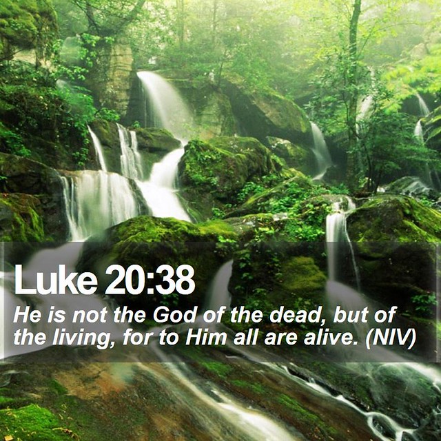 Daily Bible Verse - Luke 20:38