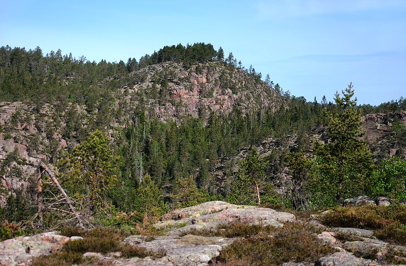 20180524-062F | Die sogenannten Kalottberge aus rotem Rapakivi-Granit mit kahlen Hängen und bewaldeter Kuppe sind typisch für den Skuleskogen-Nationalpark. Höga Kusten, Ångermanland / Schweden, 24.05.2018