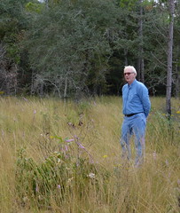 Jack, out standing in his field. The wiregrass and wildflowers here are the result of the restoration efforts he led.