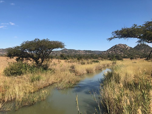 africa zimbabwe makonidistrict river mountain tree savanna sky blue gold manicalandprovince fieldvisit