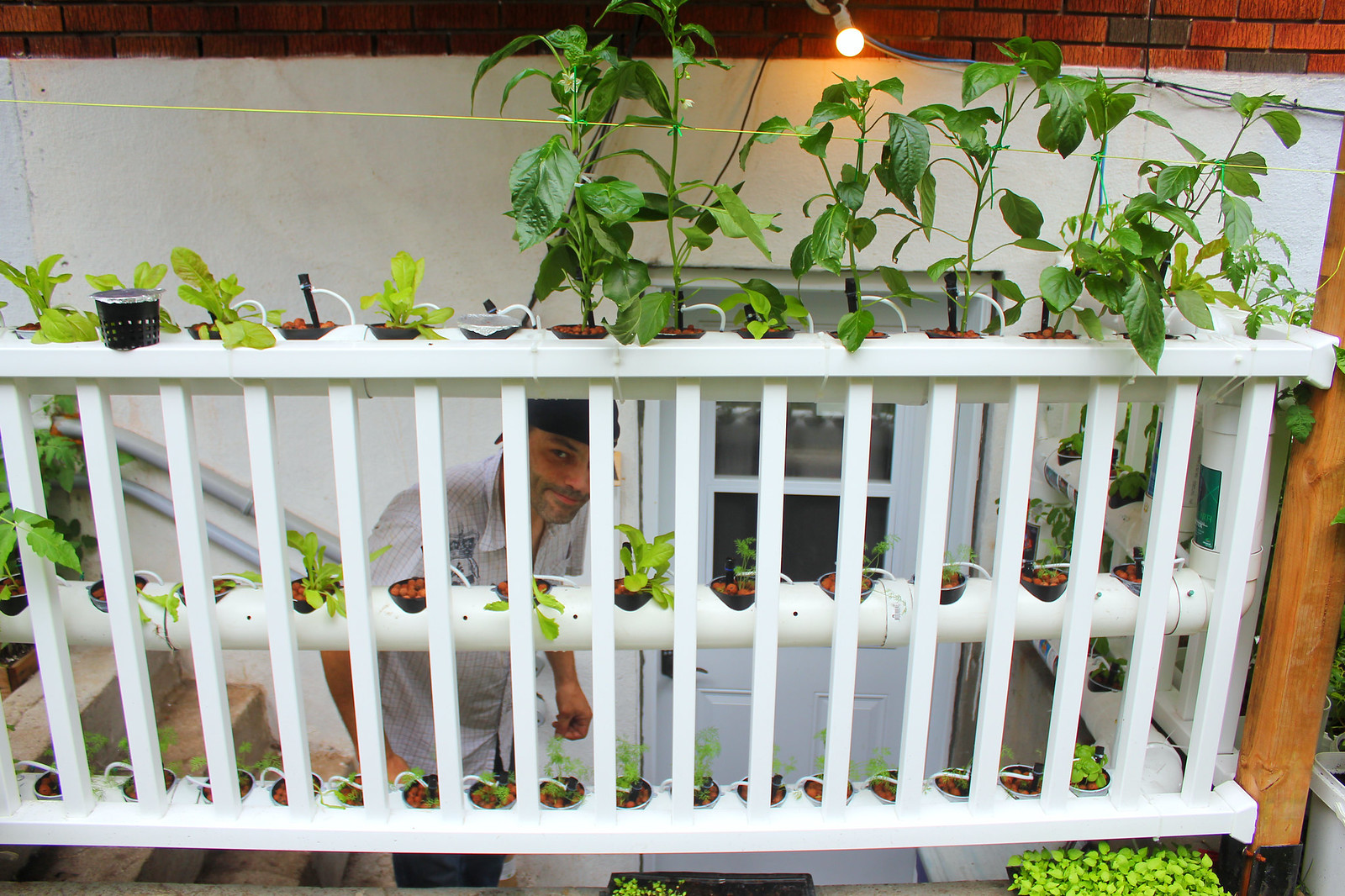 Outdoor hydroponics
