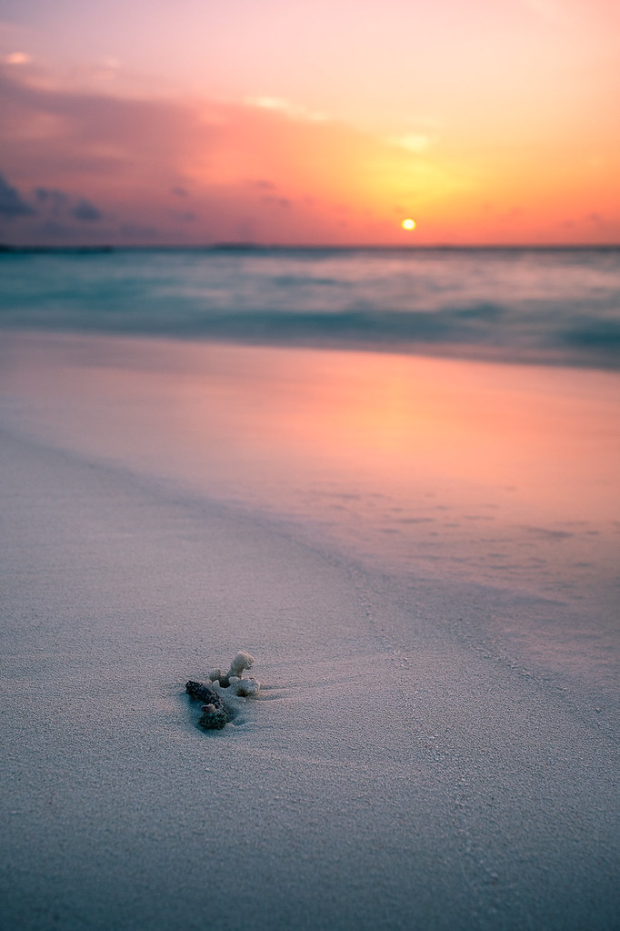 Sunset on the beach - Maldives - Travel photography