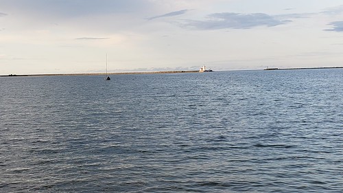 20180727_191452 by wolffriend333,