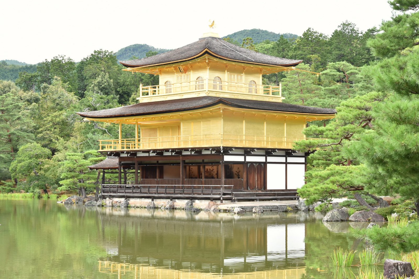 Kyôtô - Kinkaku-ji, le Pavillon d'Or