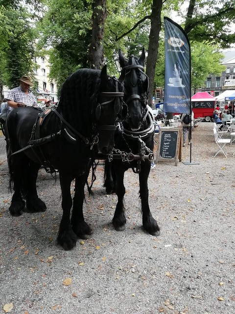 Fries paard Lange Voorhout, Den Haag