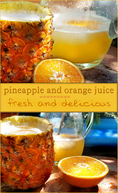 Pineapple and orange juice - Diaz De Vivar Gustavo