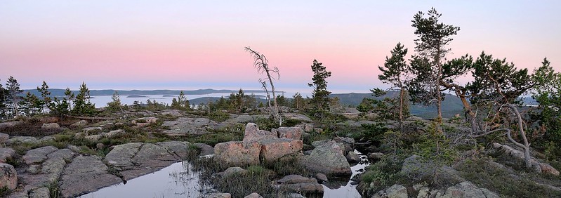 20180523-122P | Skuleskogen-Nationalpark: Auf dem Plateau des Slåttdalsberget. Höga Kusten, Ångermanland / Schweden, 23.05.2018