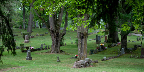 cemetery graveyard summer imagraveyardkindofgirl tombstones oakgrovecemetery stlouismichigan trees