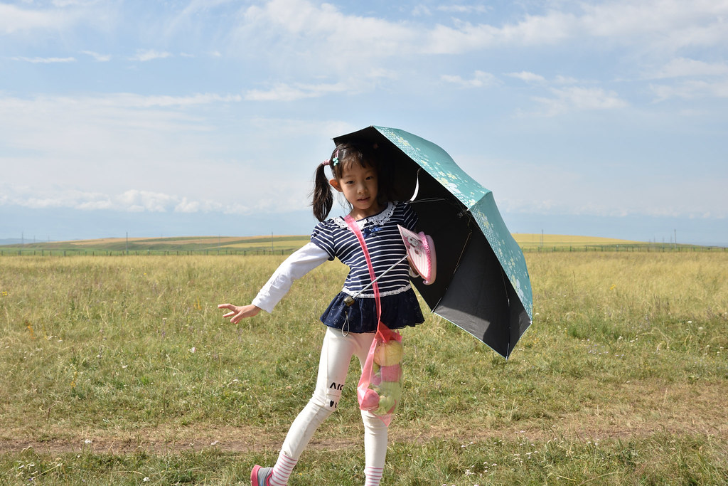 DSC_6666 | Ling Shi | Flickr