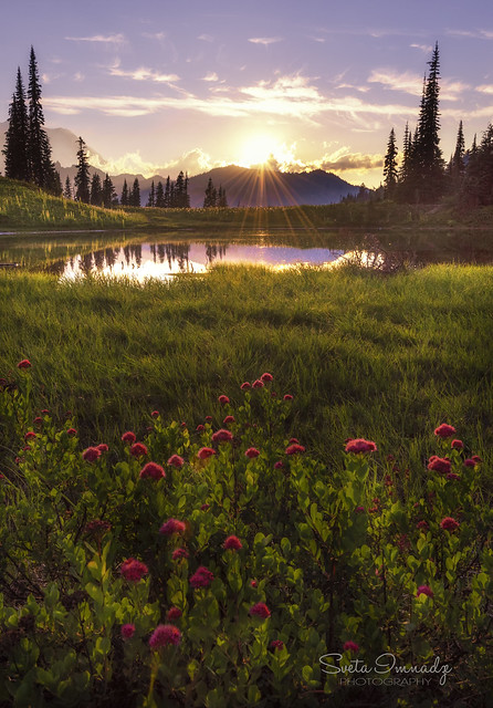 Sunset at the Lake. (Mt Rainier NP, Chinook Pass, WA).