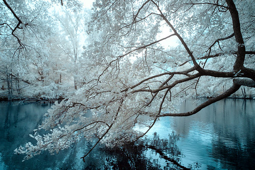 infrared infrated infrarot water pond lake trees nature park surreal blue white melancholic moody mood