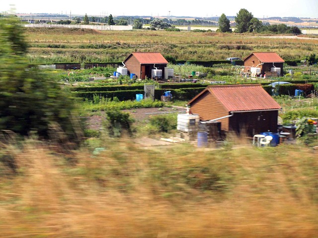 French Allotments