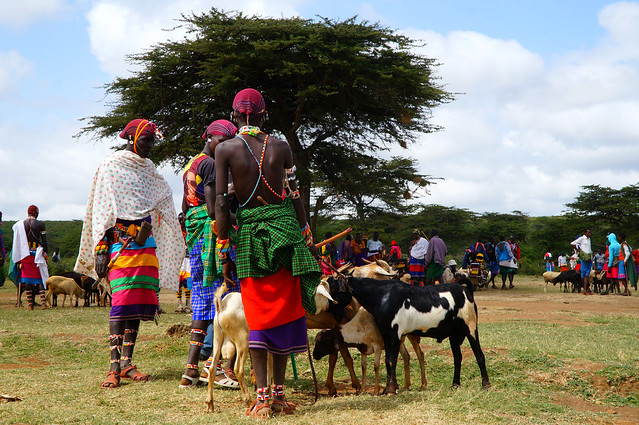 Selling Sheep - Local Samburu Market. Kisima, Kenya