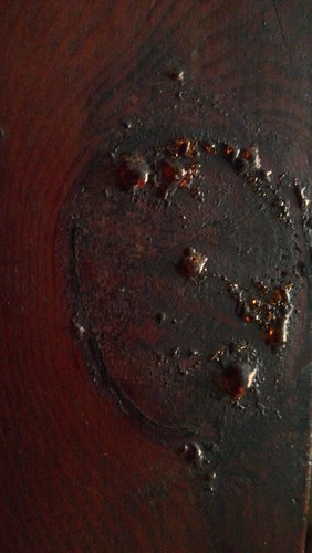 wood resin | by ***snowflake***