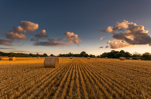 hay bales field canon 1740 f4l sony a7rii sunset harvest wirral cheshire