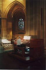 Organist at St Mary's Cathedral
