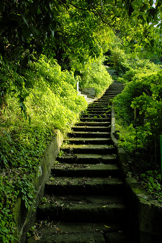 Green stairs to... by manganite