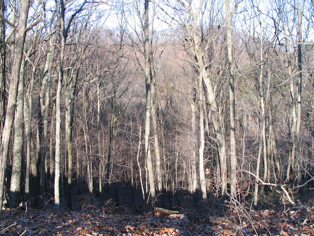 Orange Trail