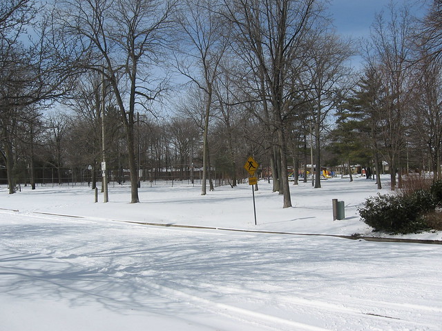 Forster Park in snow