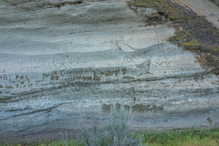 Petroglyphs at Petroglyph Pt at Lava Beds NM-01 5-27-18
