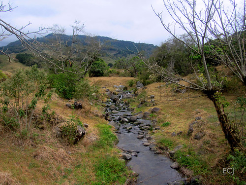 riachuelo río agua piedras campo rural caminata hierba vegetación naturaleza árboles montaña paisaje cielo bosque madera arbustos