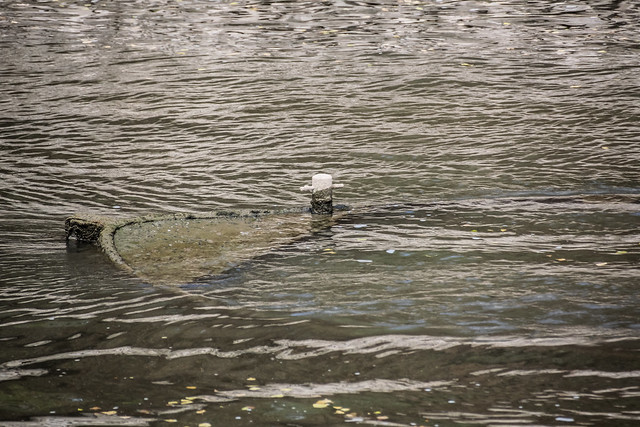 Aalschokker am Silbersee