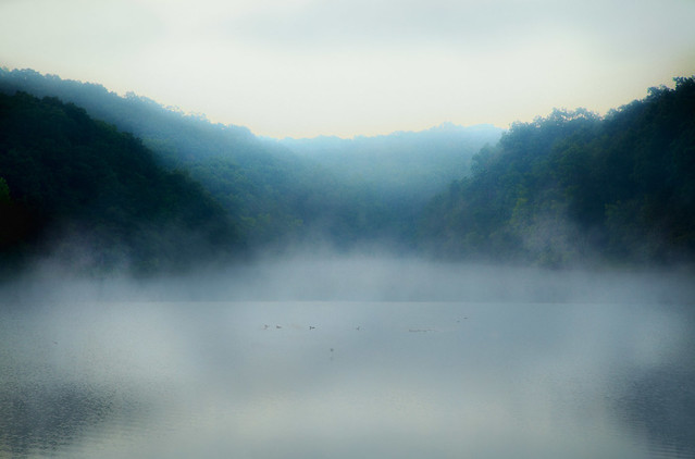 lake fog
