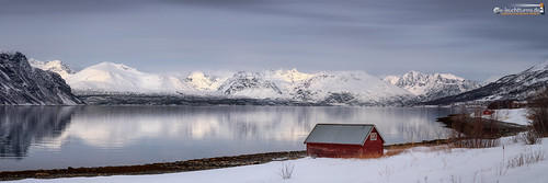 The silence of the North by dieLeuchtturms, Lyngenfjord / Troms / Norwayschnee norwegen winter europa 3x1 atlantik troms panorama wasserspiegelu