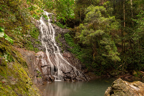 australia mainrange nationalpark queeensland canon5dmk3 canon24105mm waterfalls waterfall landscape rainforest creek aracuriafalls