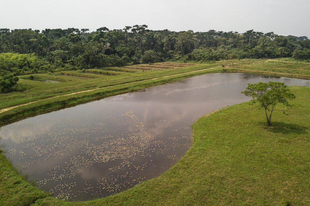 INERA pisciculture plant near Yangambi, DRC.