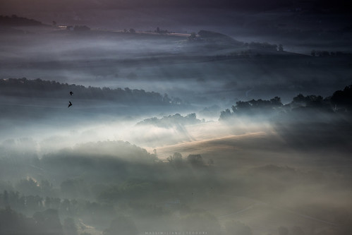 todi umbria italia landscape sunrise fog mist birds countryside light trees fields canon6d canon70200f4lis