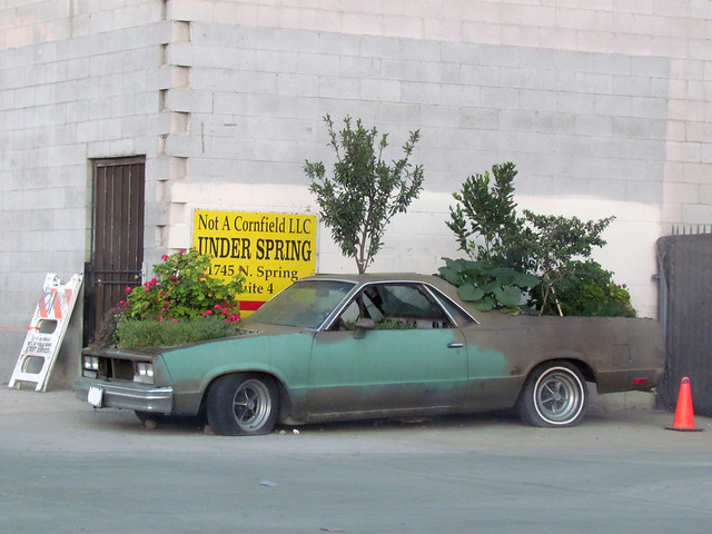 Chevrolet El Camino with plants