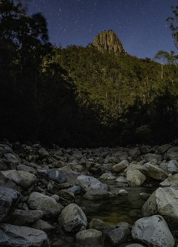 wellingtonpark tasmania australia au pentaxk1 samyang24mmf14 moonlight stars longexposure