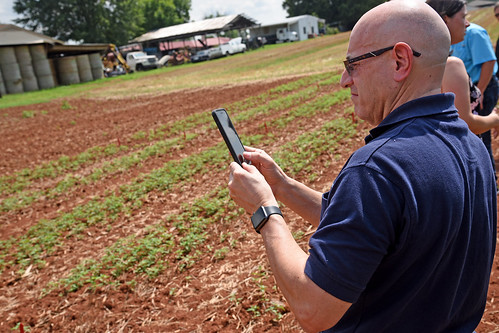 Law enforcement officer takes a photo of industrial hemp growing at the Piedmont Research Station during a tour of the farm.