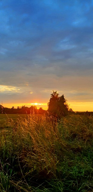 Beautiful Sunset 😀  #sunset #sun #benheinephotography #nature #rochefort #benheine #sky #ciel #trees #forest #foret #photo #photographie #arbres  #coucherdesoleil #evening #samsungs9
