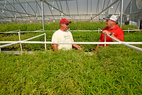 Broadway Hemp's Ryan Patterson (left) chats with Franklin County extension director Charles Mitchell during a tour of the Harnett County hemp farm.