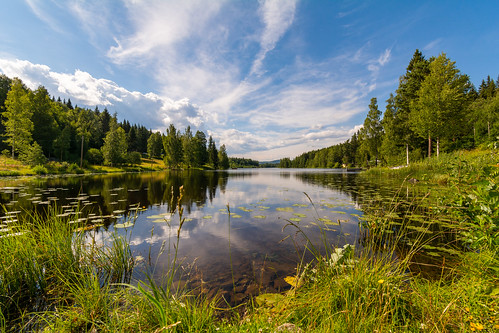 bergslagen blue foliage green lake landsbygd landscape sjö sky smedjebacken summer träd vatten water waterlilies dalarnaslän sweden se