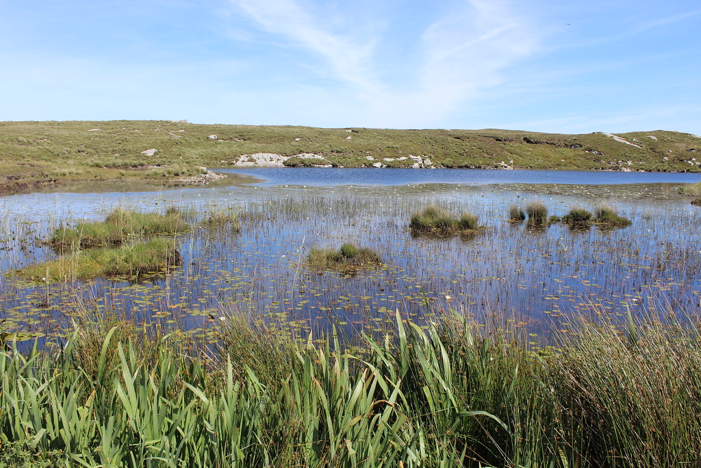 Saturday 23rd June 2018. A small lake in Derrigimlagh bog, Connemara, Co Galway, Ireland.
