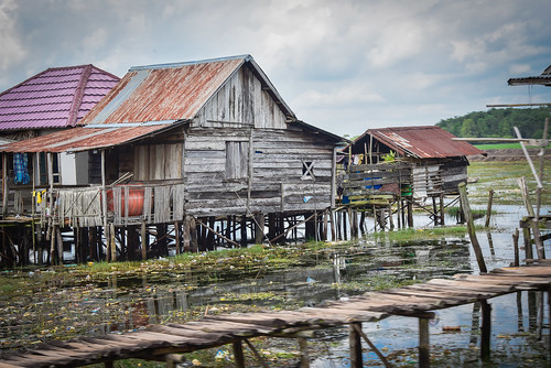 villages communityforestry houses livelihoods livingconditions swamps kabupatenindragirihulu riau indonesia id