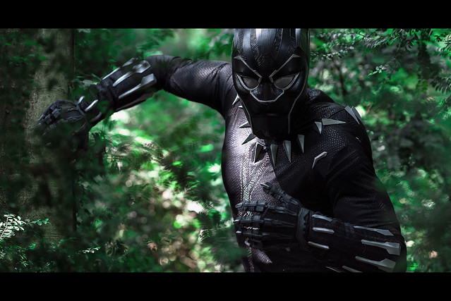 Black Panther - Set