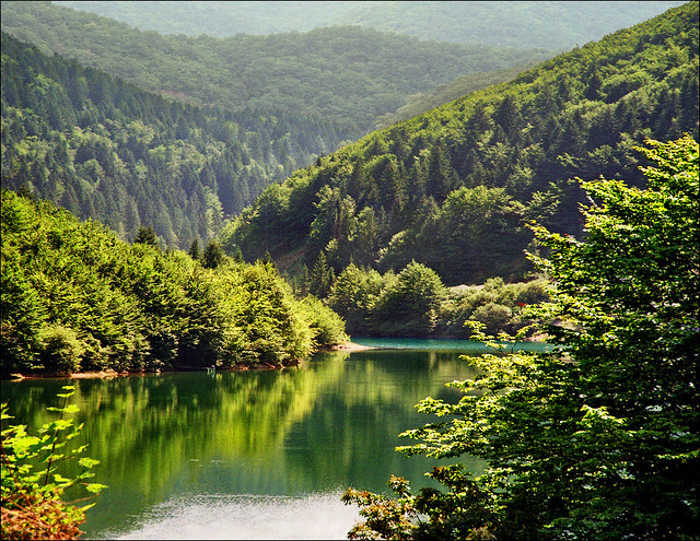 Pure organic energy - Zlatar lake