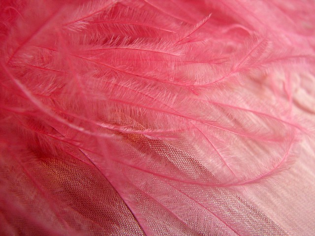 Pink Feathered Handbag macro