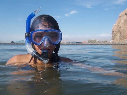 Snorkeling. | Practicando Snorkeling con mí hermana Susan Va… | Flickr