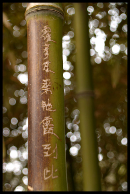 Bamboo graffiti