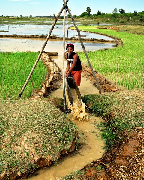 Irrigating a ricefield #2