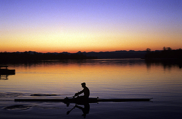 One crewman rowing on Montlake Cut with oars in the water and shell creating wake, sunrise, looking west at sunrise Seattle, Washington USA